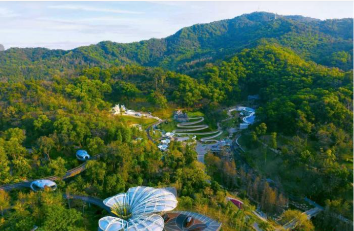 广东发布两项植物园建设相关团体标准